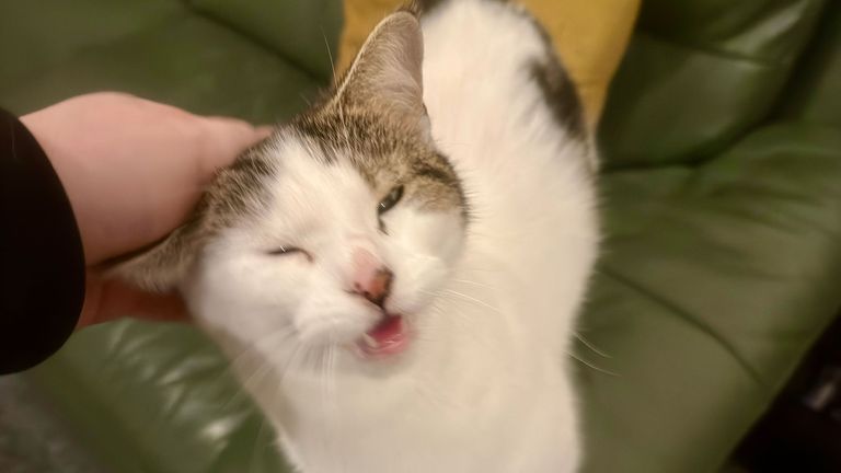 Artwork from project Studio and Life